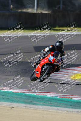 media/Mar-17-2024-Fastrack Riders (Sun) [[c7d6f8c14c]]/Level 2/Turn 6/